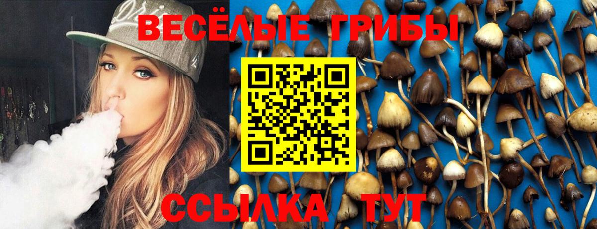 как найти   Псилоцибиновые грибы Psilocybe  Вход с VPN  Арсеньев  Псилоцибиновые грибы ЛСД 